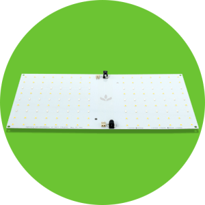 Quantum Board LED